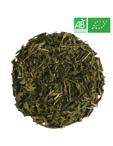Thé Vert Sencha en gros Grossiste thé vert sac 25kg