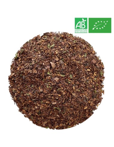 Rooibos Menthe Choco Grossiste Rooibos Bio