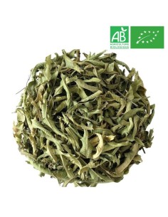 Verveine Bio - Herboristerie bio au kilo - Grossiste Thé Bio