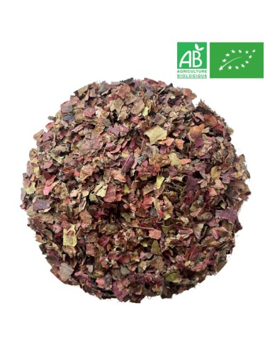 Vigne Rouge Bio  - Grossiste - Herboristerie - Grossiste-Thé.com