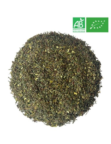 Rooibos Vert Bio - Thé au kilo - Grossiste de Thé