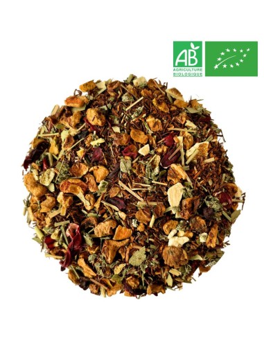 Fournisseur Rooibos Agrumes Grossiste Rooibos Bio