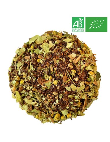 Fournisseur Rooibos Nuit Calme Grossiste Rooibos Bio