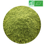 Matcha Bio Chine - Grossiste Thé Matcha