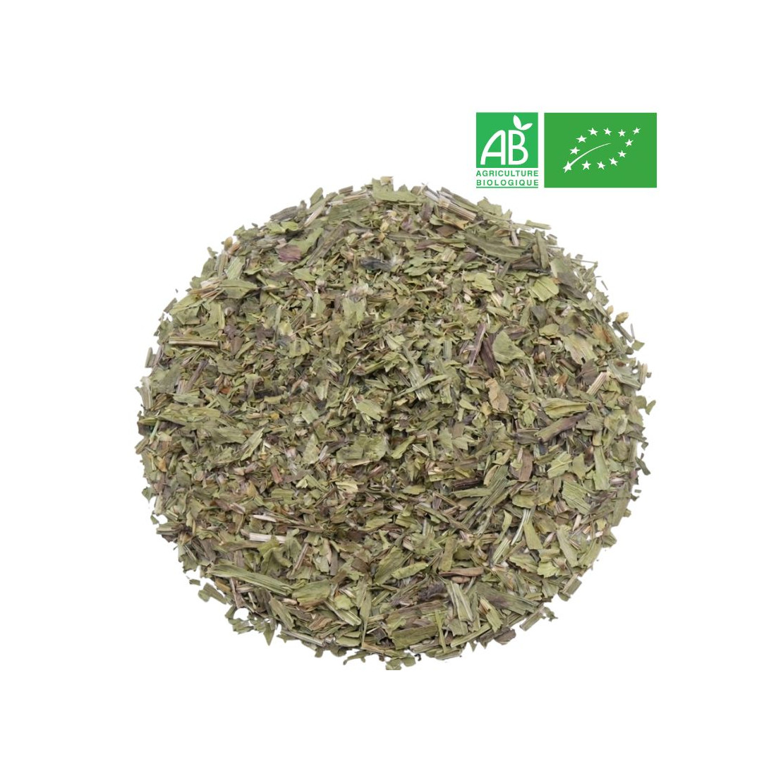 Fournisseur - Plantain Lancéolé Bio - Feuille entière - Herboristerie - Grossiste-Thé.com