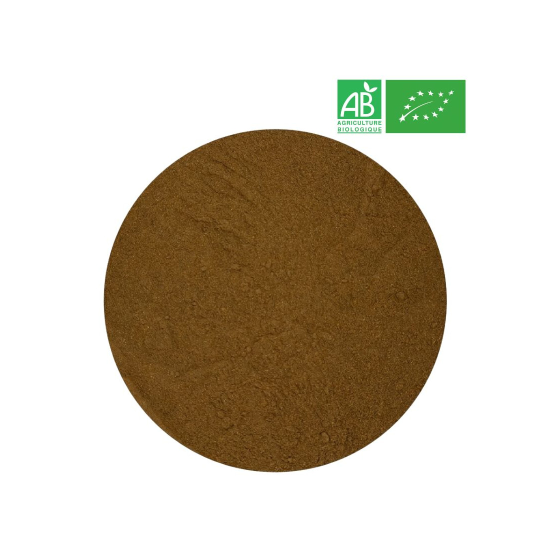 Ginkgo Feuille Poudre Bio Grossiste Herboristerie Bio