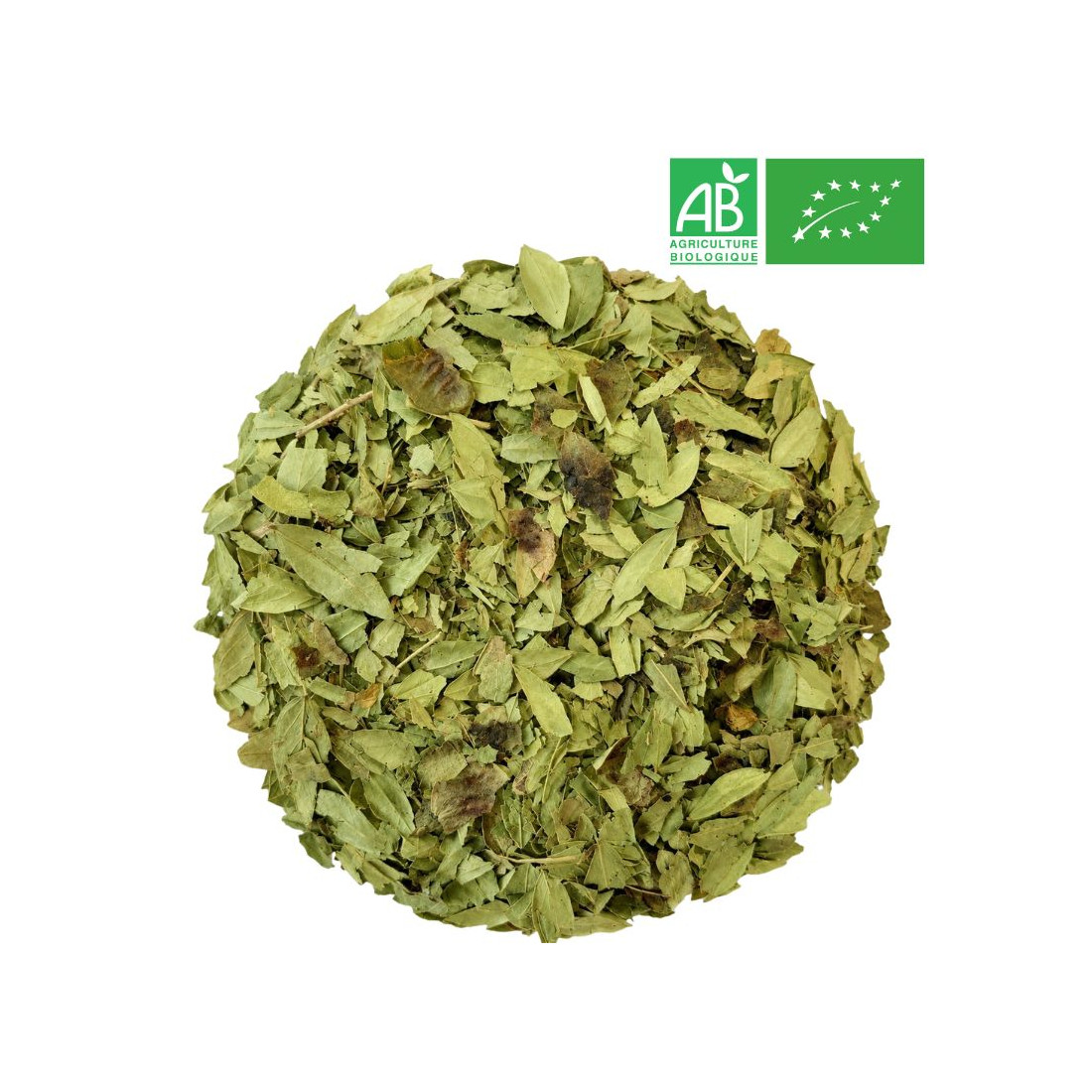 Séné Bio - Feuille  -Grossiste - Herboristerie - Grossiste-Thé.com