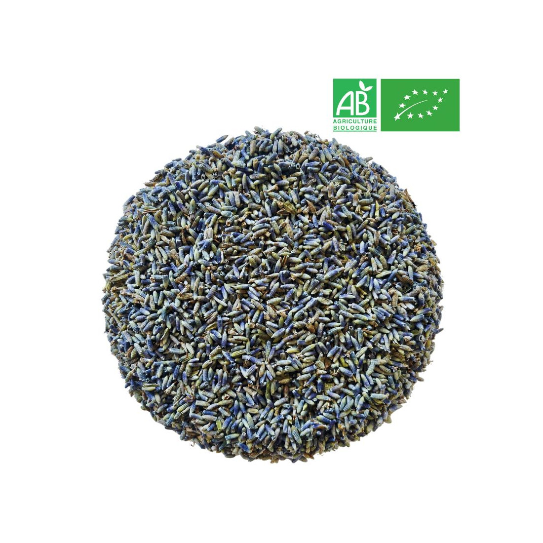 Lavande Bio - Fleur - Grossiste - Herboristerie - Grossiste-Thé.com
