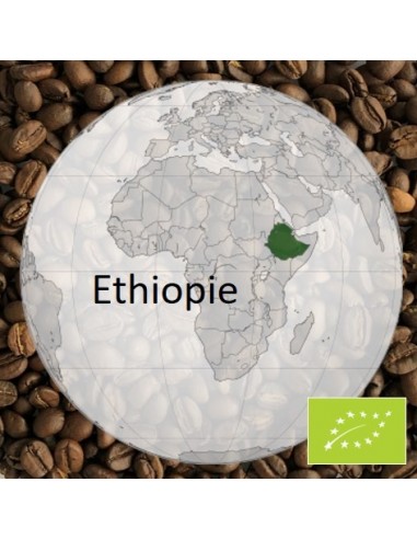 Café Moka d'Ethiopie Bio 1kg - En grain