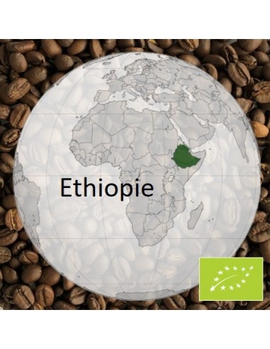 Café Moka d'Ethiopie Bio En Vrac - En grain